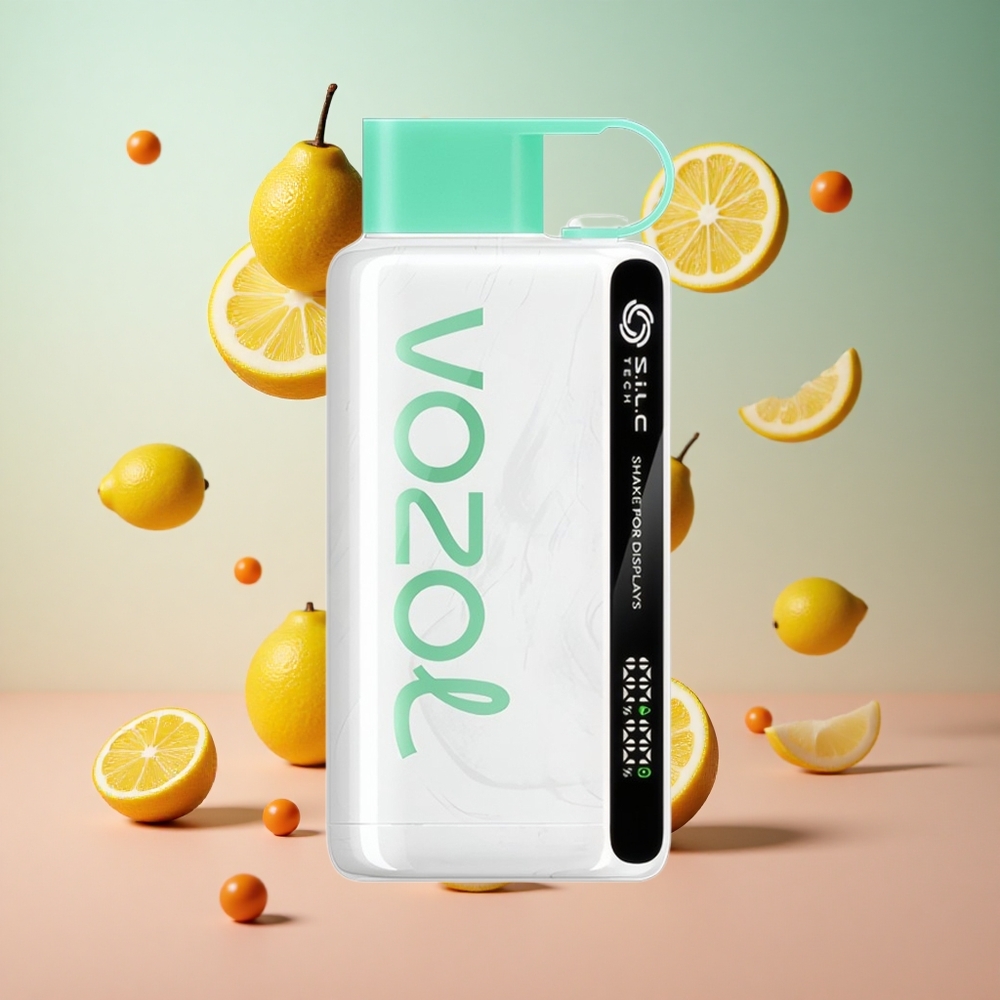 VOZOL STAR 9000/12000 Vape Descartável Limão Hortelã Brasil Atacadista 650mAh Reciclado